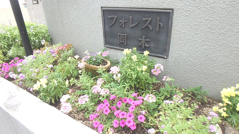 フォレスト岡本の外観