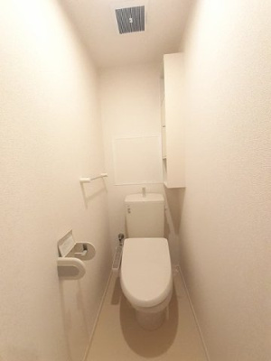 【トイレ】 | ソラーナ | 落ち着いた色調のトイレです