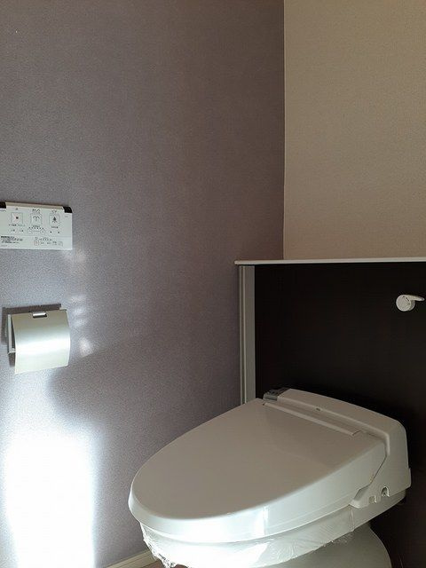 サンフローリッシュ　Ⅱのトイレ