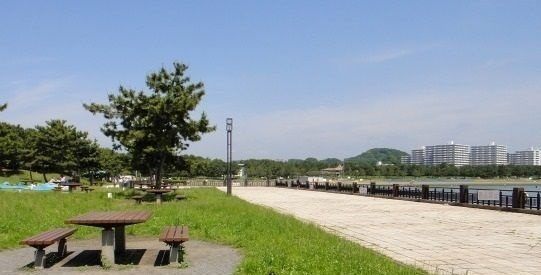 サンフローリッシュ　Ⅱのその他