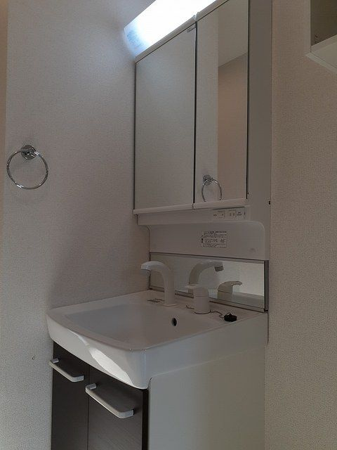 サンフローリッシュ　Ⅱの洗面所