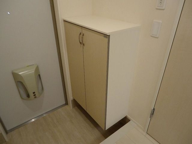 ステラエクシードの収納