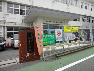 【周辺】 | ロイヤルＴＫ | 北九州市立藤木小学校まで269ｍ
