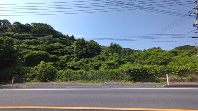 【周辺】 | 周防大島・椋野