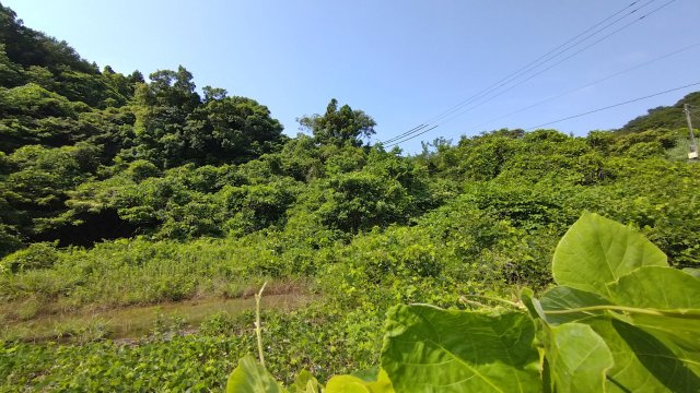 【外観】 | 周防大島・椋野