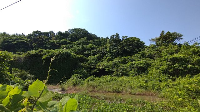【外観】 | 周防大島・椋野