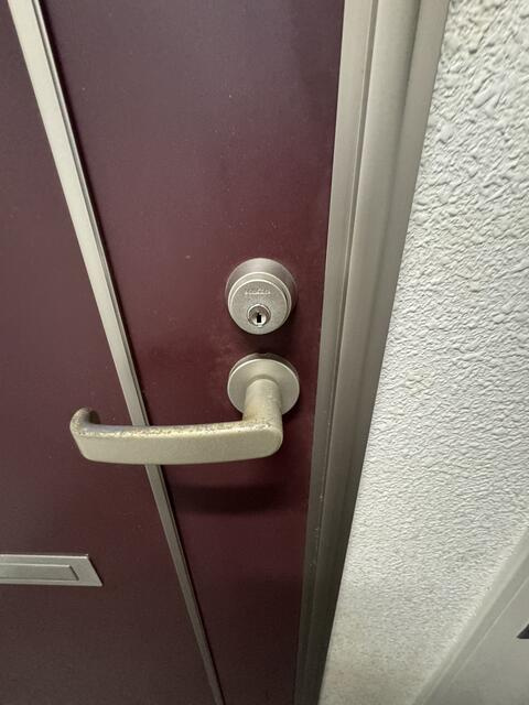 参考写真