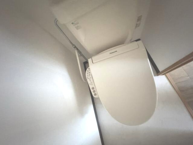 参考写真