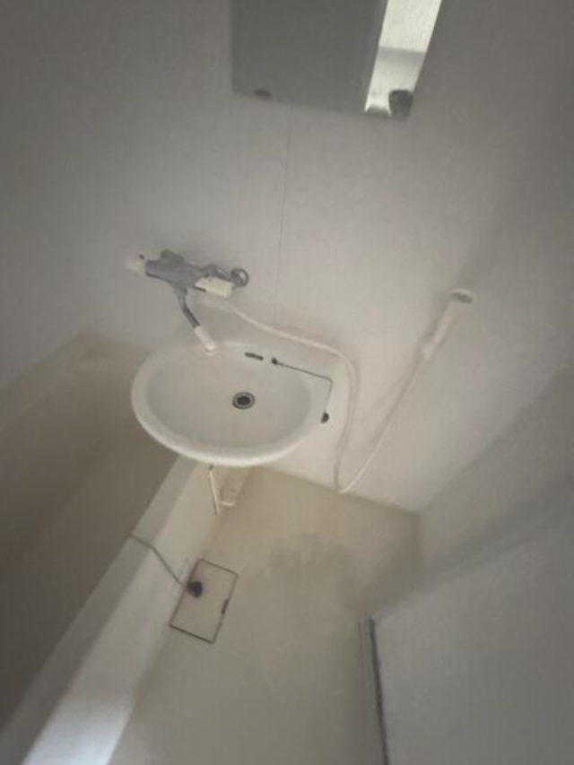 参考写真