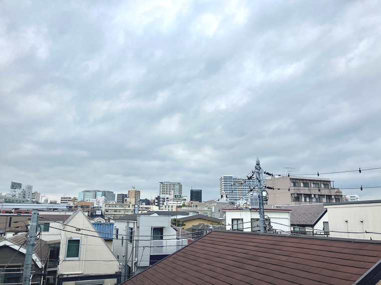 ライオンズガーデン蒲田の展望