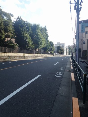 グラントゥルース弥生の周辺