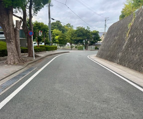 エムズ鴨江のその他|物件前の道路になります。