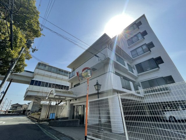 ダンディライオン住吉川