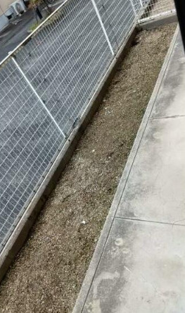 セジュール清水A棟のバルコニー