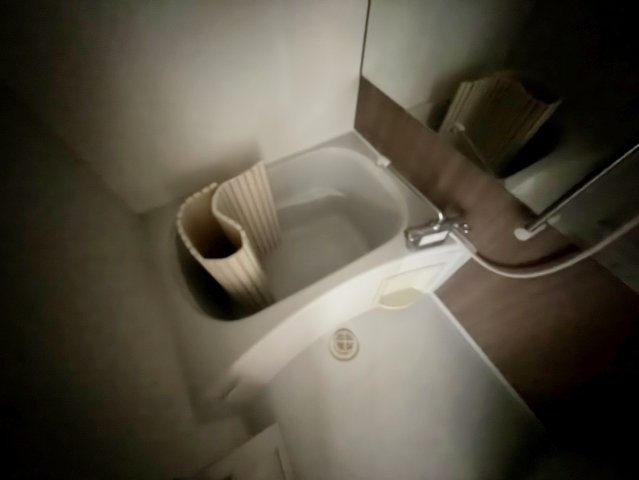 サンロワール江坂の浴室