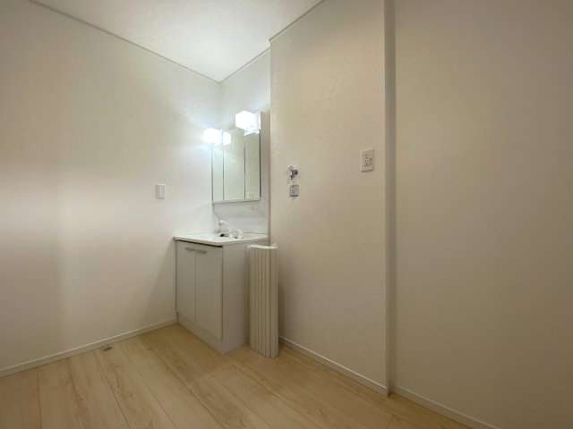 城山2丁目　新築戸建ての洗面所|ゆとりのある洗面脱衣所。三面鏡洗面化粧台でシャワー付きです。