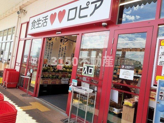 シェーネの周辺|ロピア柳津店まで1400m