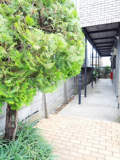 ベルクハイムのその他|植栽です☆