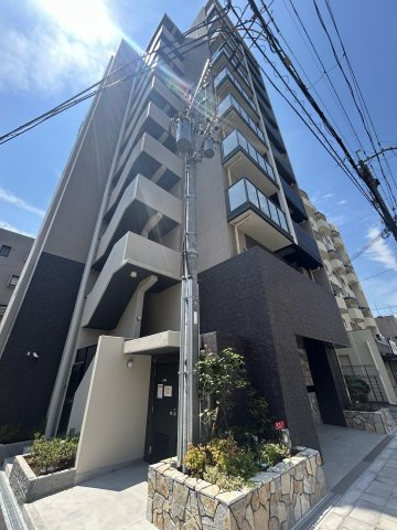 LiveFlatTsukamoto