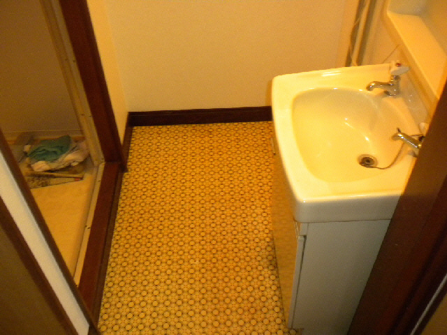 ハイツ菅原の洗面所