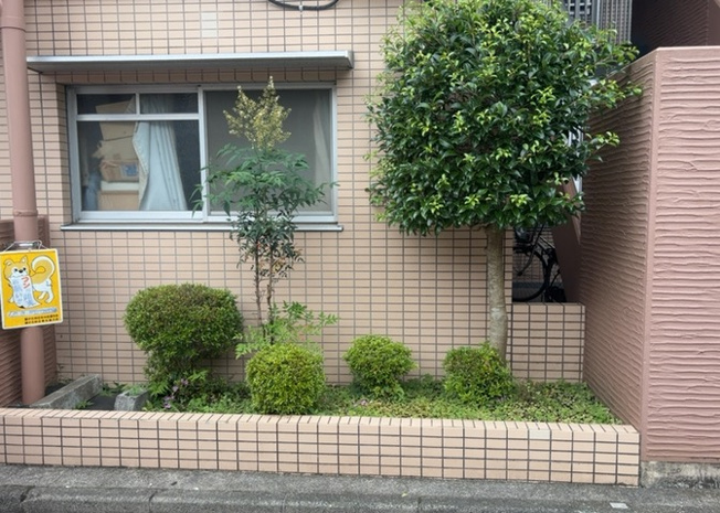 【庭】 | ヴィラ星が丘 | 物件によっては、入居者が個人的に使用できる専用庭がついているものもあります。また、住宅の中にある土間の部分を庭と呼ぶこともあります。庭の用途は住む人によって変わり、それによってデザインもさまざまです。