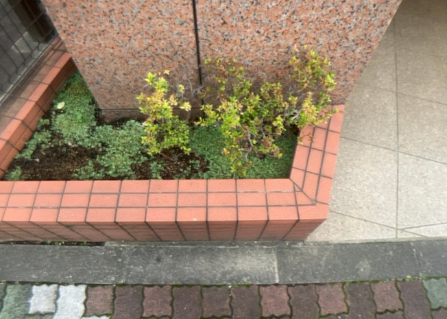 【庭】 | ヴェルヒルズ町田 | 物件によっては、入居者が個人的に使用できる専用庭がついているものもあります。また、住宅の中にある土間の部分を庭と呼ぶこともあります。庭の用途は住む人によって変わり、それによってデザインもさまざまです。