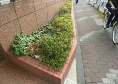 【中庭】 | ヴェルヒルズ町田 | 中庭（パティオ）とは、一つの建築物の内部に設けられた、壁などで囲われている庭のことを指します。コの字型、ロの字型が主流ですが、L字型の中庭もあります。最近では、インテリア性の高さからも人気があります。