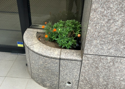 【中庭】 | 藤和シティホームズ西八王子 | 中庭（パティオ）とは、一つの建築物の内部に設けられた、壁などで囲われている庭のことを指します。コの字型、ロの字型が主流ですが、L字型の中庭もあります。最近では、インテリア性の高さからも人気があります。