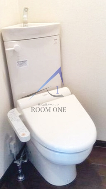 テレシーナのトイレ|トイレです。