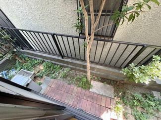  | 庭 