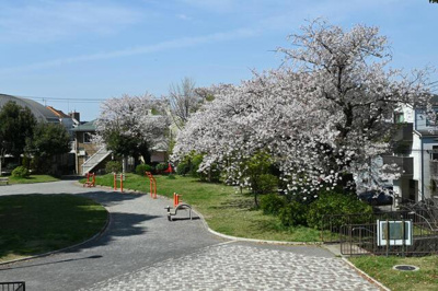  | 野毛山公園まで481m 