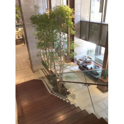 パークシティ大崎　ザ　タワーのロビー|31233432_12.jpg