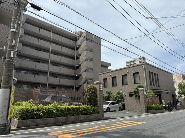 ステラコート