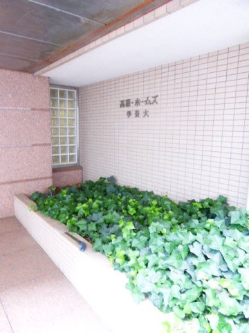 高雅ホームズ学芸大のその他|73425383_16.jpg