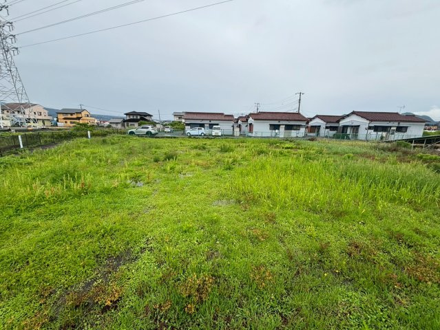 静岡県三島市　農地の外観