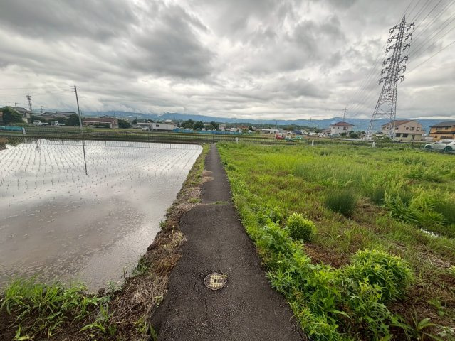 静岡県三島市　農地の周辺