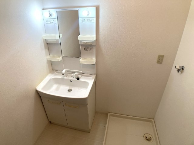 カルム湊川の洗面所|シャワー付きの独立洗面台