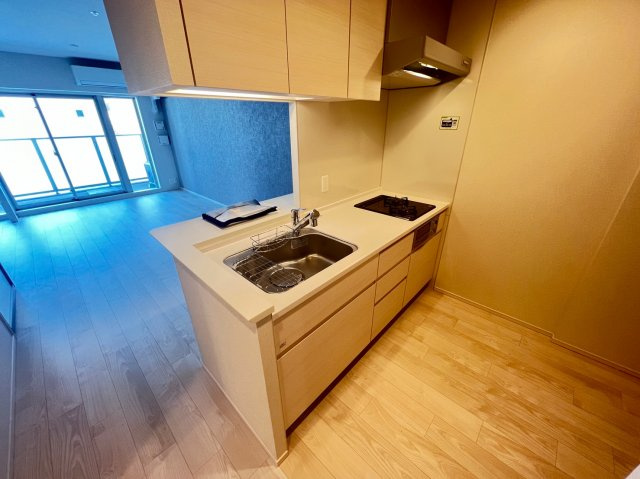 OPUS RESIDENCE SHINSAIBASHI SOUTHの居間・リビング