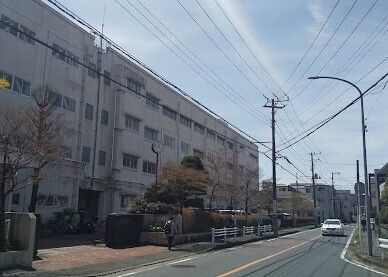 【周辺】 | フォンテーヌ綱島