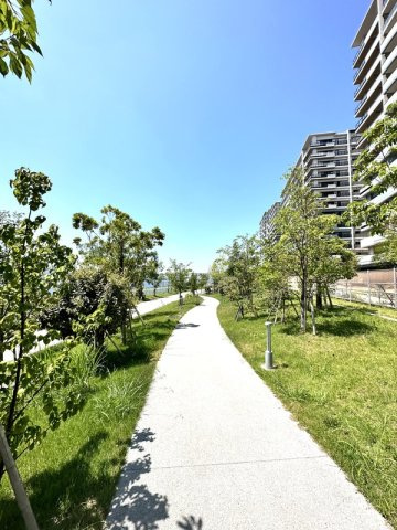 HARUMI FLAG SEA VILLAGE　E棟 Eのその他|56608840_13.jpg