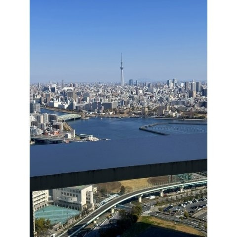 ザ・パークハウス晴海タワーズ　クロノレジデンスの展望|74095607_12.jpg