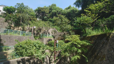 【展望】
