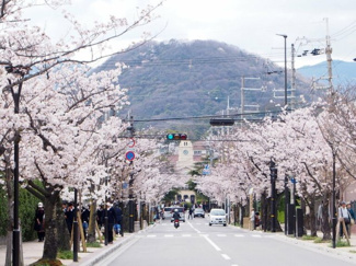 【周辺】 | 西宮市　仁川町3丁目　建築条件無土地