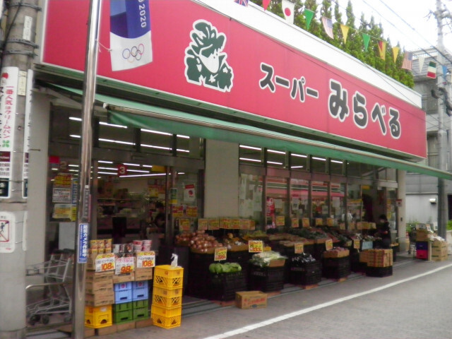 ワコーレ東十条の周辺|74794961_24.jpg