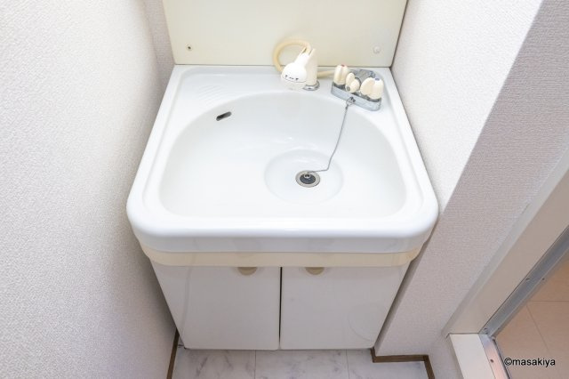 セジュール上高田の洗面所