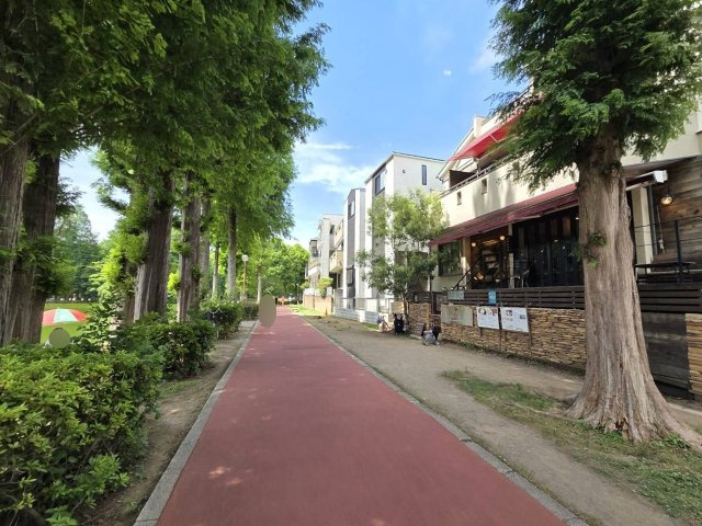 売土地の周辺