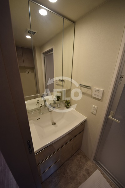 SK RESIDENCES SHINSAIBASHIの洗面所|SK RESIDENCES SHINSAIBASHI　独立洗面台