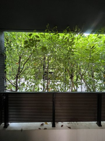 【展望】