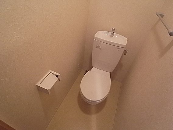 フロイデのトイレ