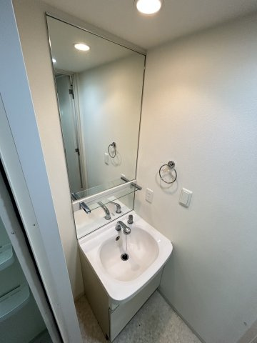 プレサンス難波セレクトの洗面所